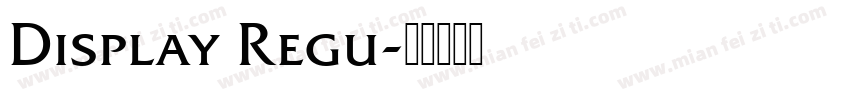 Display Regu字体转换